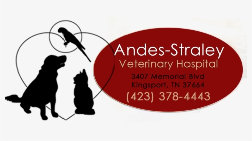 Veterinarian In Kingsport, Tn  				onerror='this.onerror=null; this.remove();' XYZ Https - Silhouette, HD Png Download, Transparent PNG